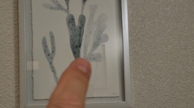 TEXTURE - Review of Parvez Taj Blue Staghorn Framed Print Review Unboxing Parvez Taj Demo Test