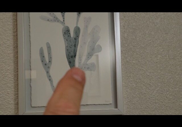 TEXTURE - Review of Parvez Taj Blue Staghorn Framed Print Review Unboxing Parvez Taj Demo Test