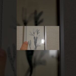 TEXTURE - Review of Parvez Taj Blue Staghorn Framed Print Review Unboxing Parvez Taj Demo Test