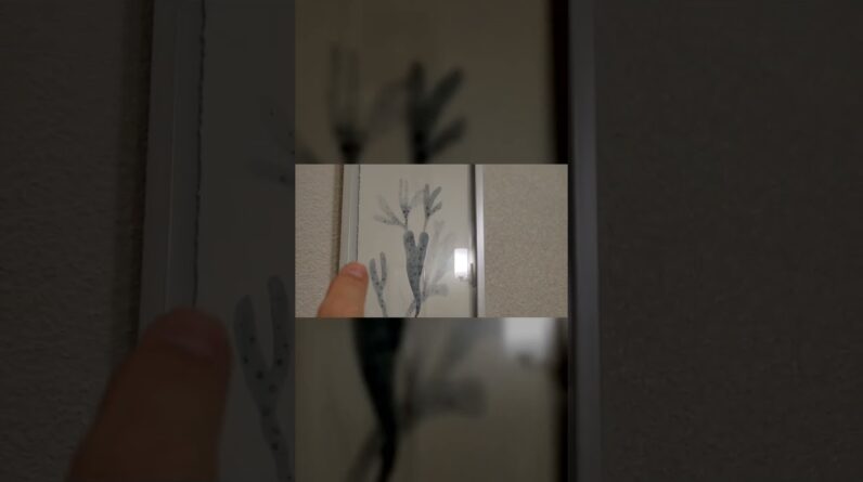 TEXTURE - Review of Parvez Taj Blue Staghorn Framed Print Review Unboxing Parvez Taj Demo Test
