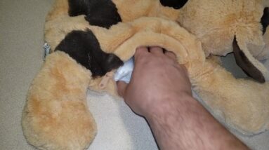 COMFORTING - Lakikid weighted stuffed animal dog 5lb Lap Pad Review Unboxing LakiKid Demo Test