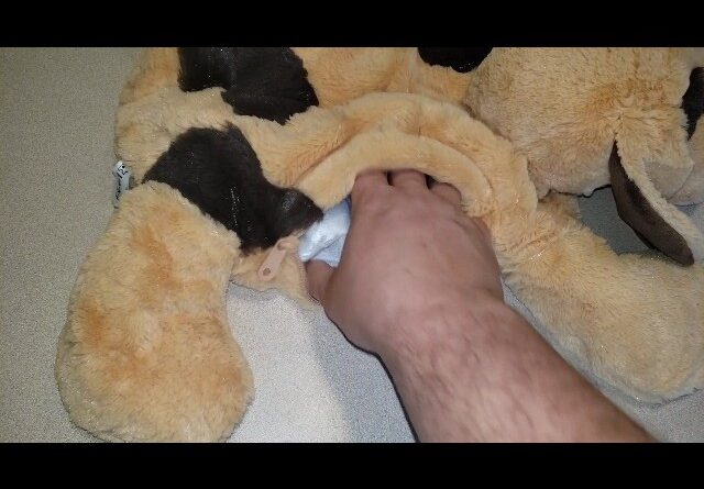 COMFORTING - Lakikid weighted stuffed animal dog 5lb Lap Pad Review Unboxing LakiKid Demo Test