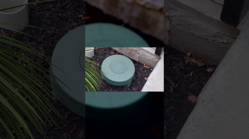 DISAPPEARS?  Review of Bose FreeSpace In-Ground Loudspeaker Review Unboxing Bose Demo Test