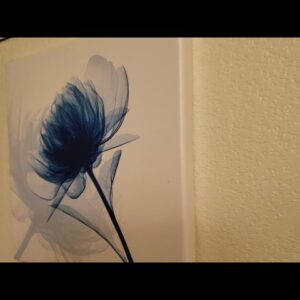 VIBRANT - Review of Blue Flowers on Canvas Review Unboxing Pyradecor Demo Test