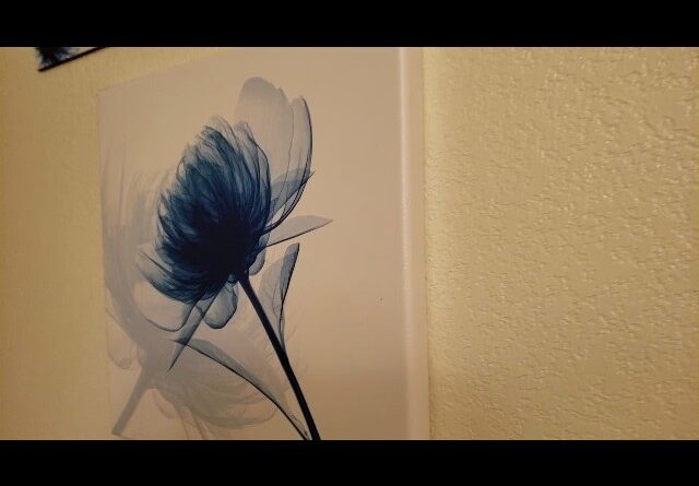 VIBRANT - Review of Blue Flowers on Canvas Review Unboxing Pyradecor Demo Test