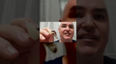 PLUMP BEANS ?? Review  Fusion Select Red Bean Mochi Review Unboxing Fusion Select Demo Test