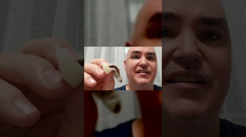 PLUMP BEANS ?? Review  Fusion Select Red Bean Mochi Review Unboxing Fusion Select Demo Test